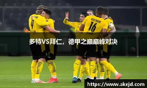 hth华体会体育