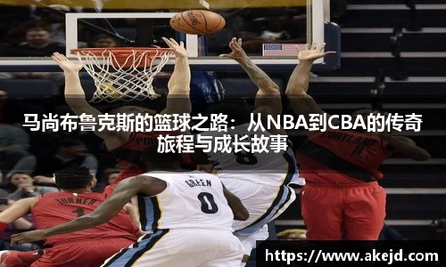 hth华体会官网