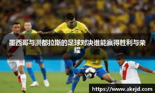 hth华体会官网