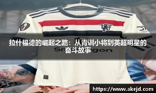 hth华体会